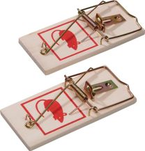 NOW Schlagfalle Mausefalle 100x45x6mm