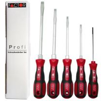 Schlitz-Schraubendreher-Satz mit 2-K-Griff 5tlg.